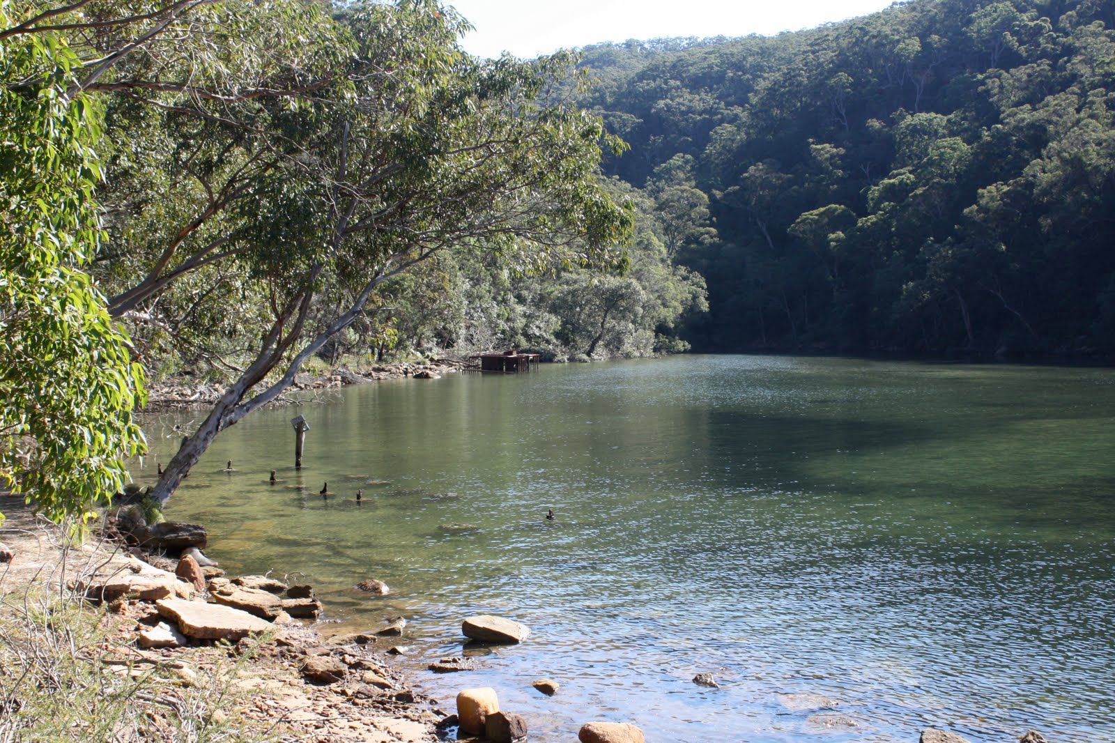 Chookie's Back Yard Cowan Creek Bushwalk