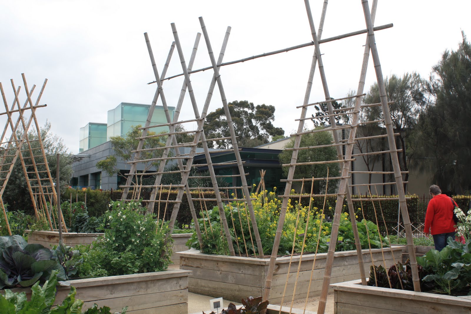Chookie's Back Yard The Ian Potter Foundation Children's Garden