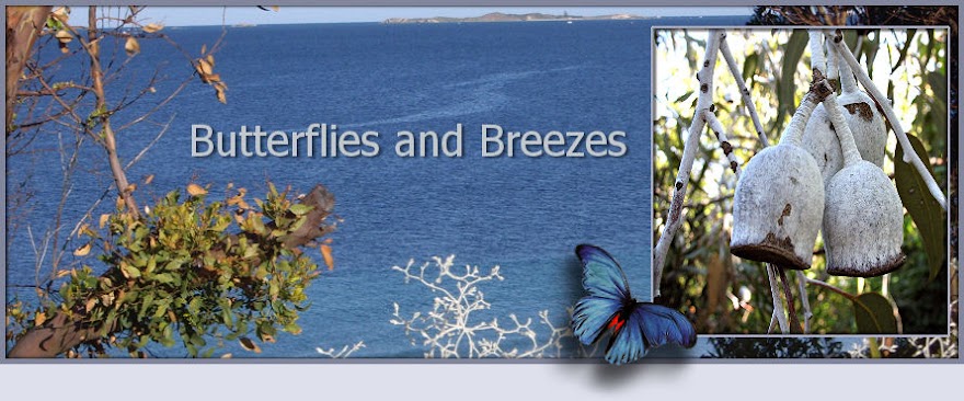 Butterflies and Breezes