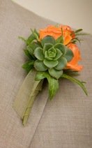 [emerald4succulents.jpeg]