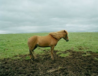 [oconnor_artworkimage.jpg]