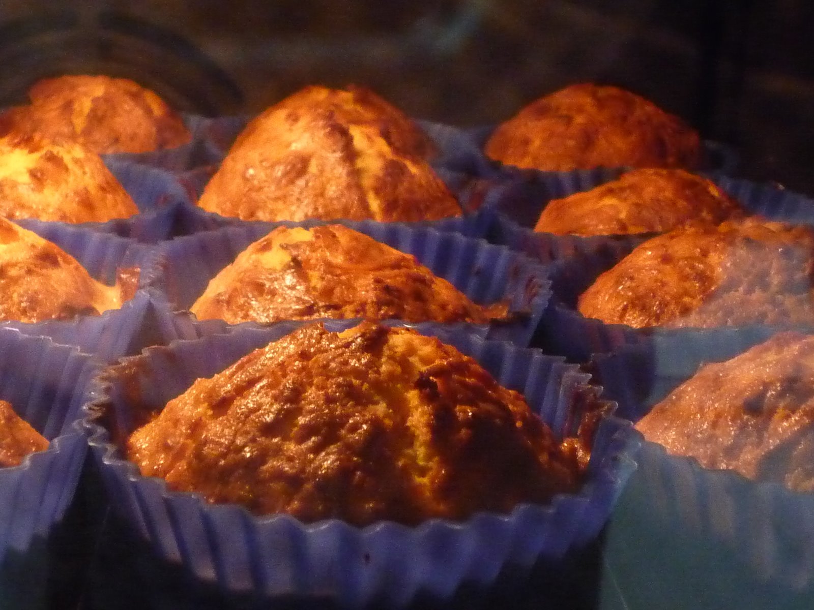 [carrot+cupcakes.JPG]