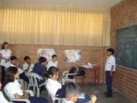 EXPERIENCIA DOCENTE 2008