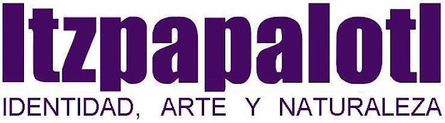 ITZPAPALOTL Identidad, Arte y Naturaleza