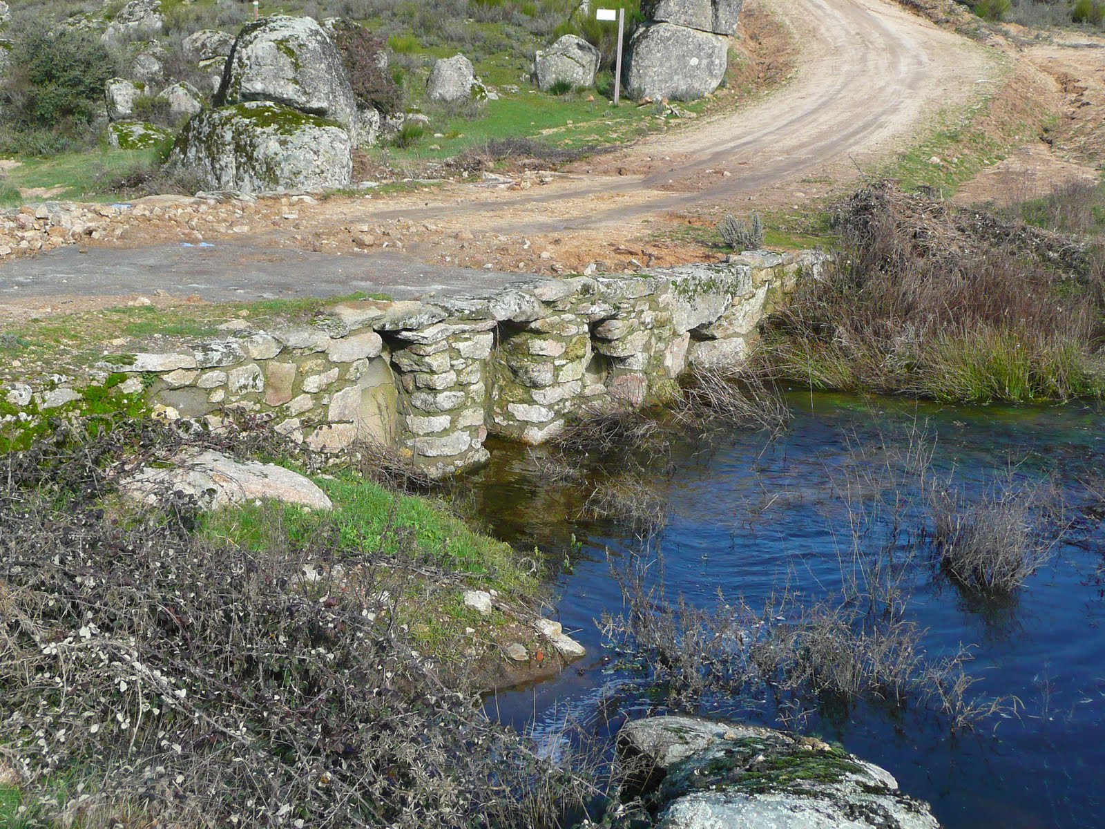 [P1110079.JPG]
