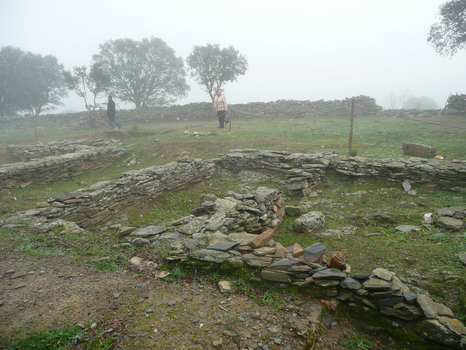 [P1100666.JPG]
