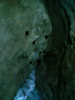 [090209_1056~01-778794.JPG]