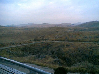 [090209_0737~03001-778263.JPG]