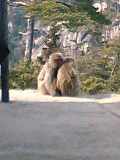 [090211_1107~01-775908.JPG]