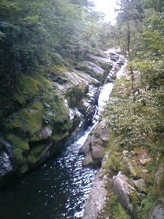 [090824_1648~01-736467.JPG]