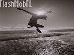 Join FLash Mob FLorida Today!