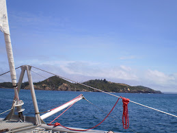 Catamaran Sailing