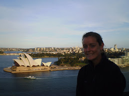 view from the lookout on the bridge