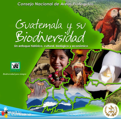 Que Animales Hay En La Biodiversidad De Mexico