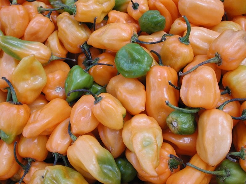 Jehuite ¿Por qué es picoso el chile? ¿Y por qué nos gusta?