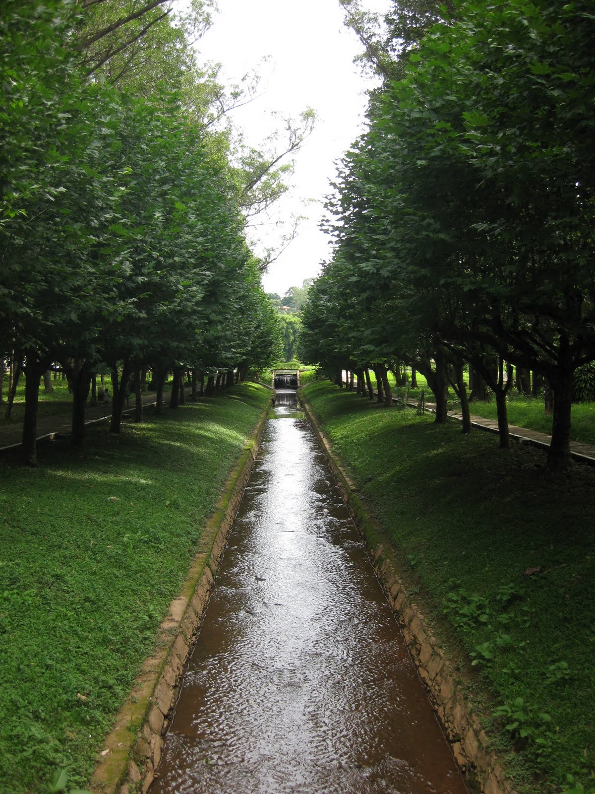 Dividindo a Bagagem Caxambu