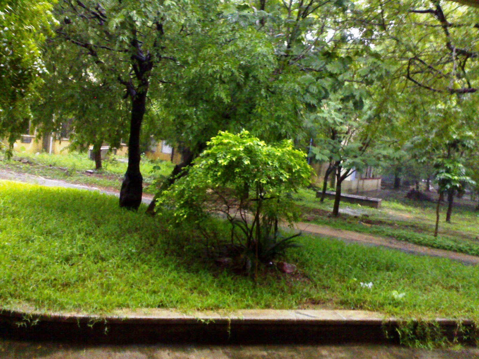 [rain3.jpg]