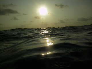 [IMGP0055-725267.JPG]