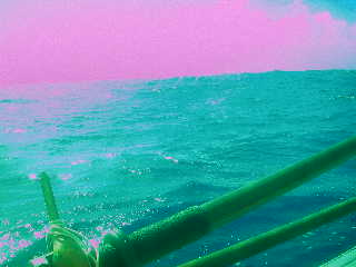 [IMGP0179-725051.JPG]