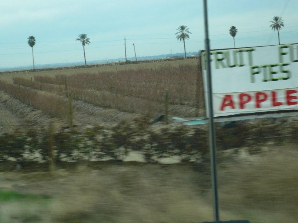 [SF_LA+too+fast+for+pie.jpg]