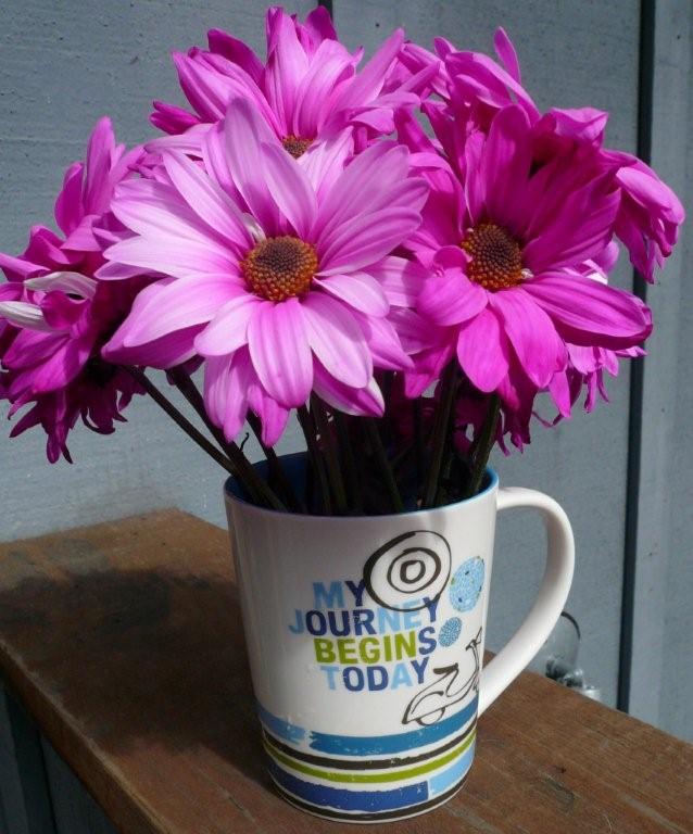 [daisies+in+coffee+mug.jpg]