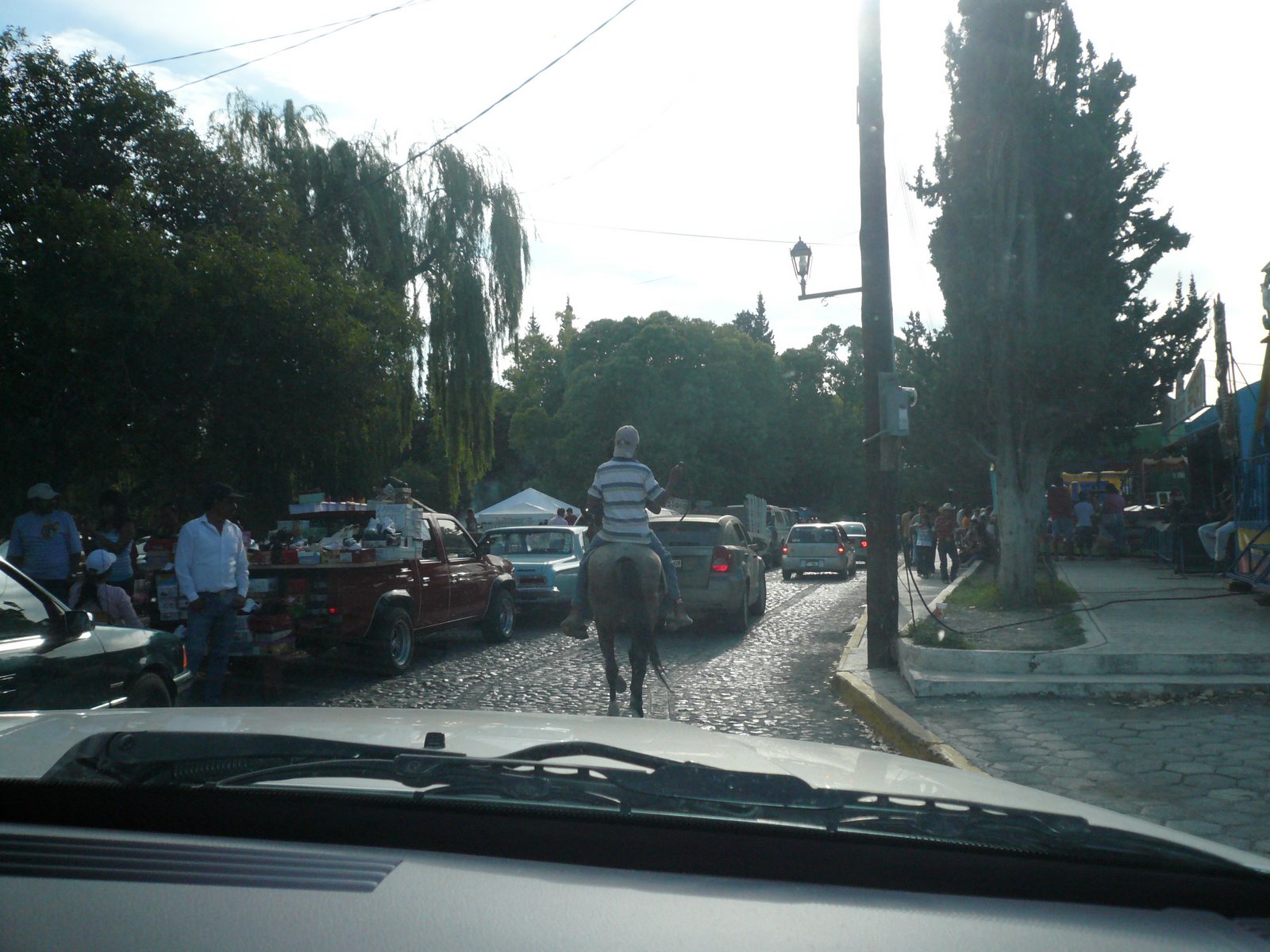 [P1020636.JPG]