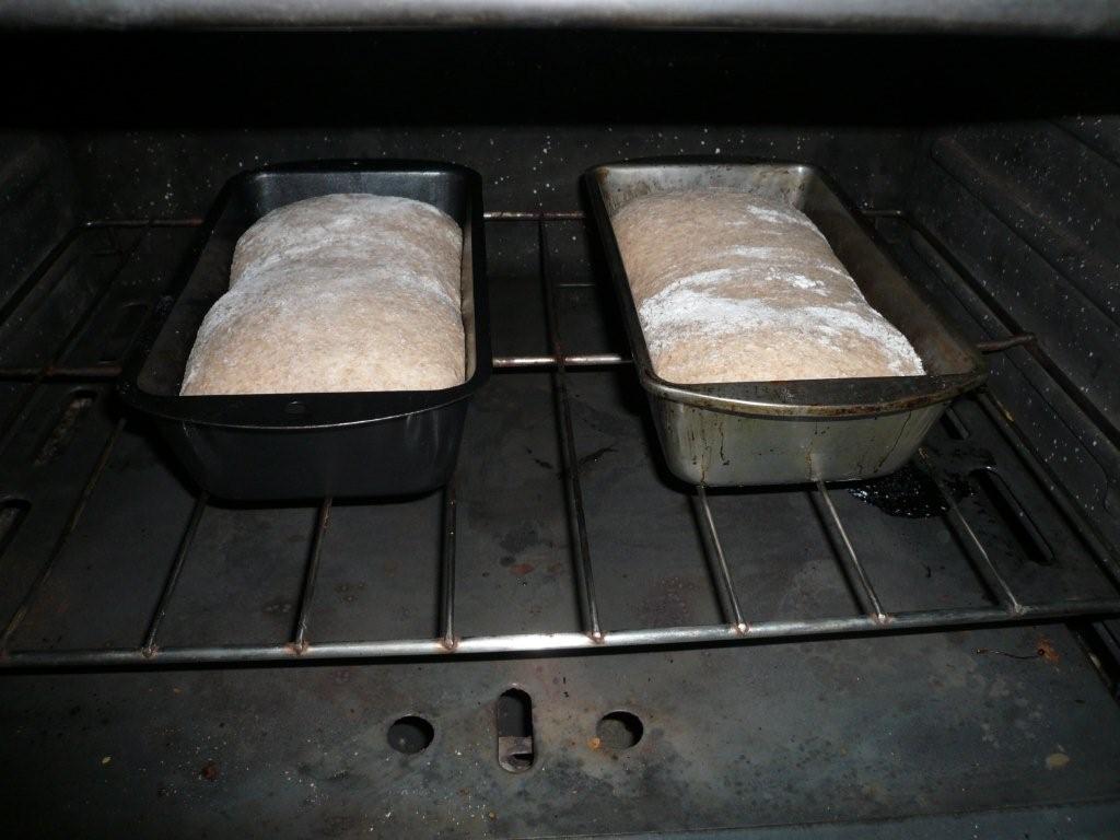 [breadintheoven.jpg]