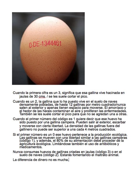 [ecologismo_codigo_huevos.jpg]