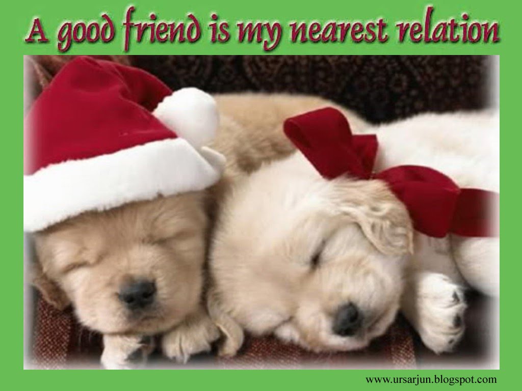 http://1.bp.blogspot.com/_T15WP7fm6DY/S68tyAFLe4I/AAAAAAAAAXw/rGRHb-Cejak/s1600/best-friend_1024x768%2B(14).jpg