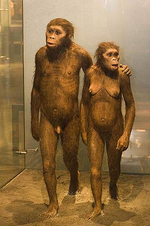 LA VIDA SEXUAL EN LA EPOCA DE LA PREHISTORIA la vida sexual en la epoca de la prehistoria: