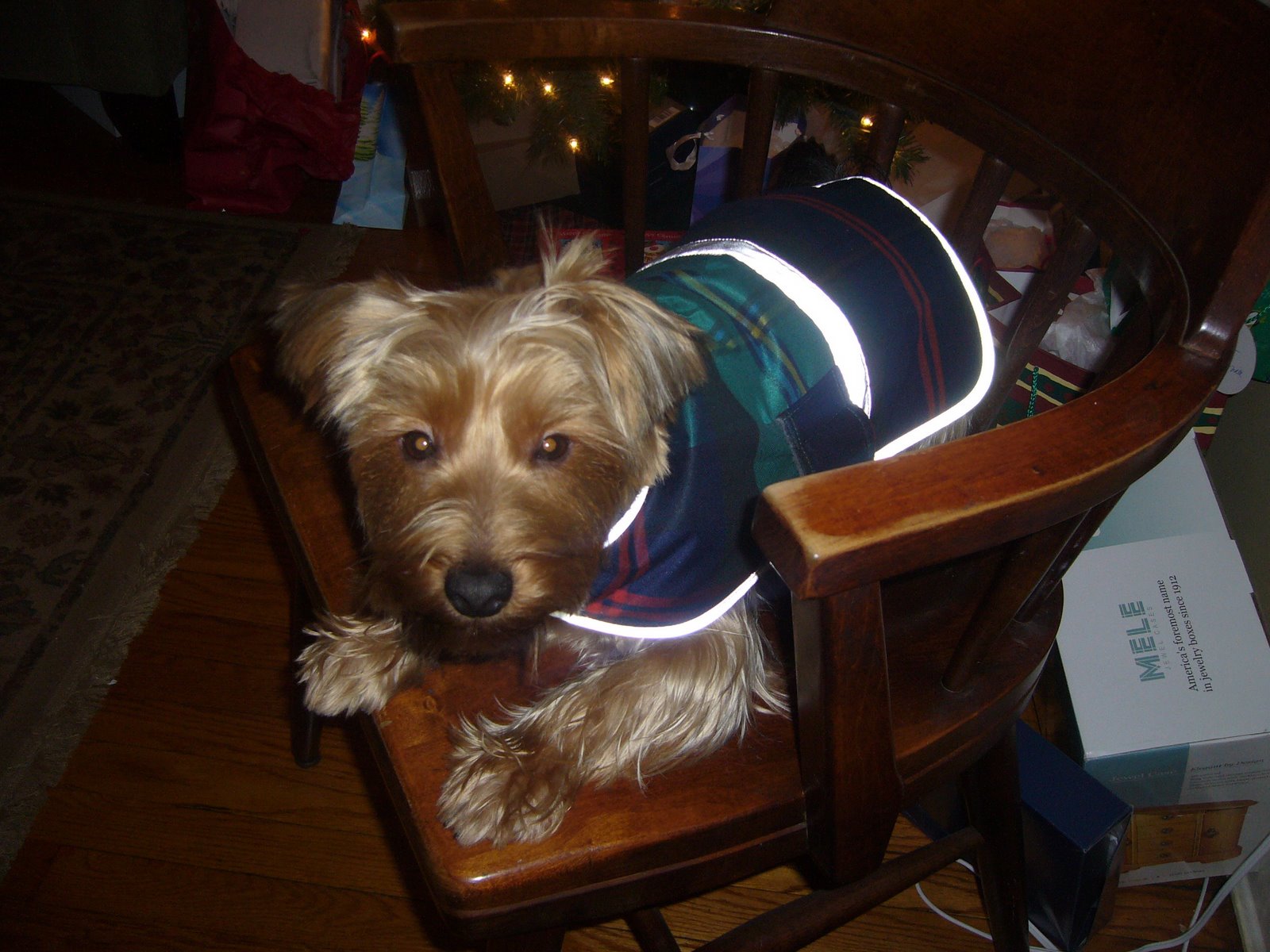 [Jack+in+jacket+2.jpg]