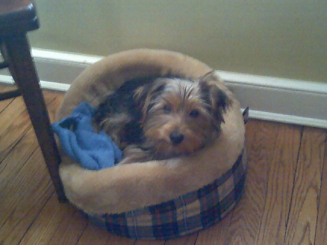 [Jack+phone+photo.jpg]