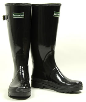 [wellies+5+shiny+.jpg]