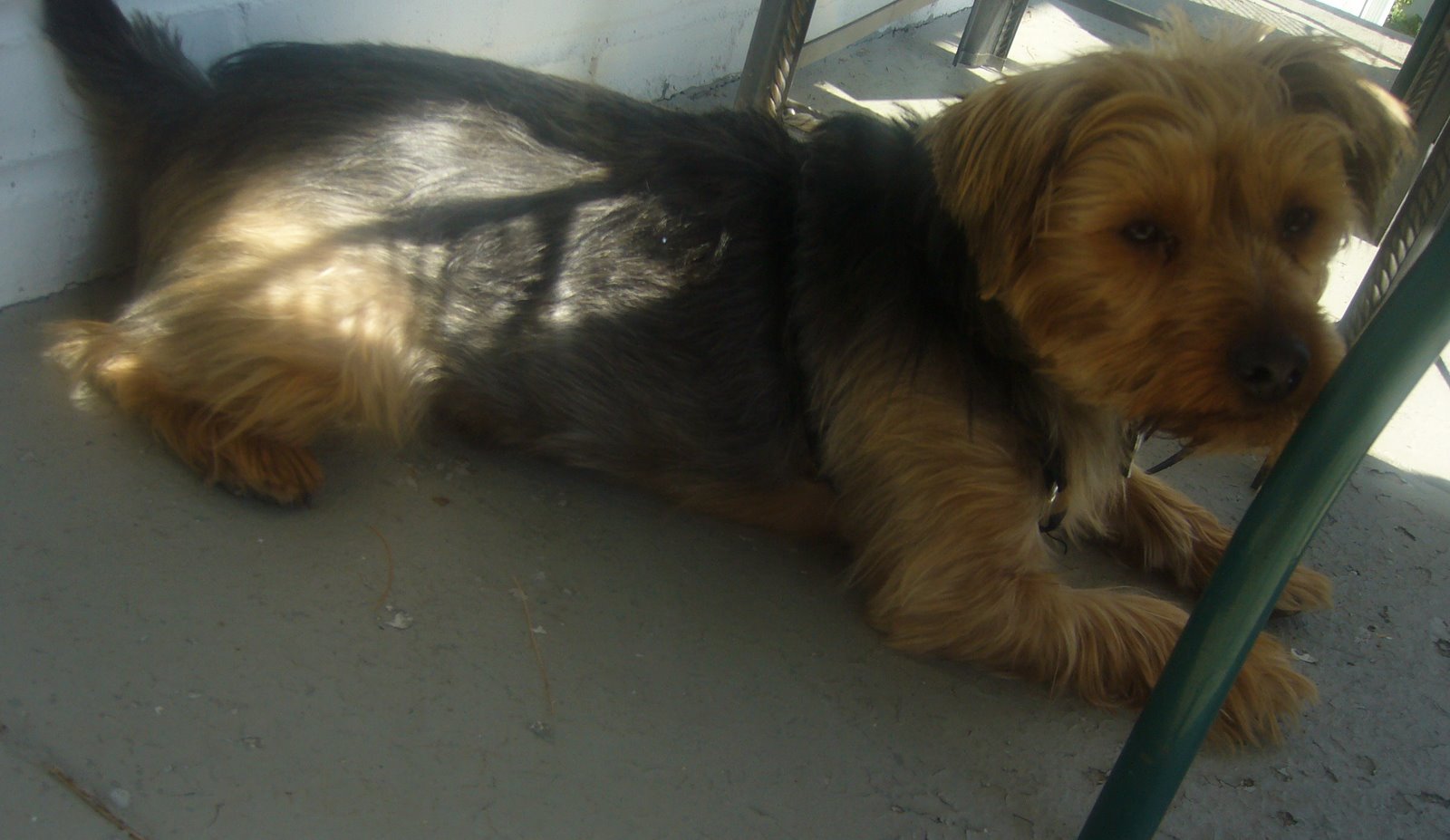 [Jack+4-23-08-D.jpg]