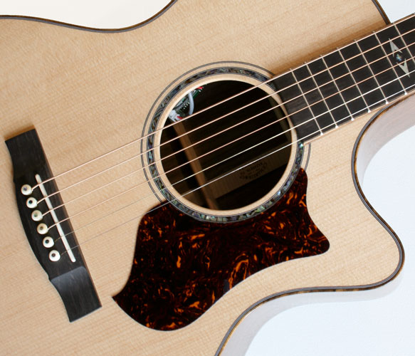 Design a pickguard for my Taylor contest The Acoustic Guitar Forum