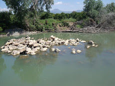 El rio Guadiaro donde se hará la presa