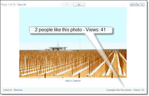 [Views&HeartsBlogFinal.gif]