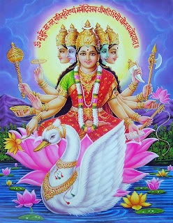 Sabedoria Singular – A religião Hare Krishna