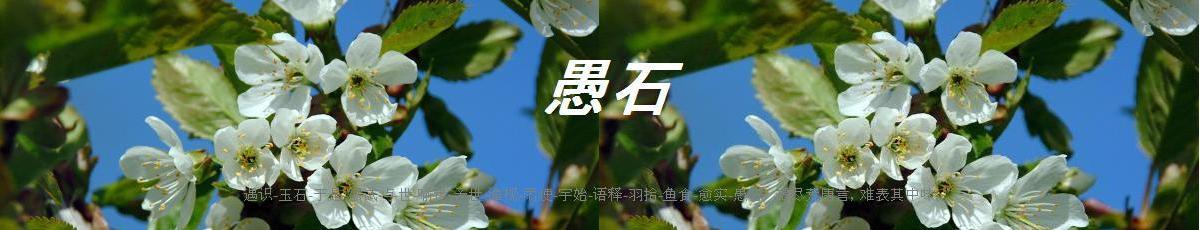 愚石闲话