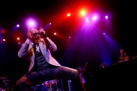 volsky wolsky pitbull s concert