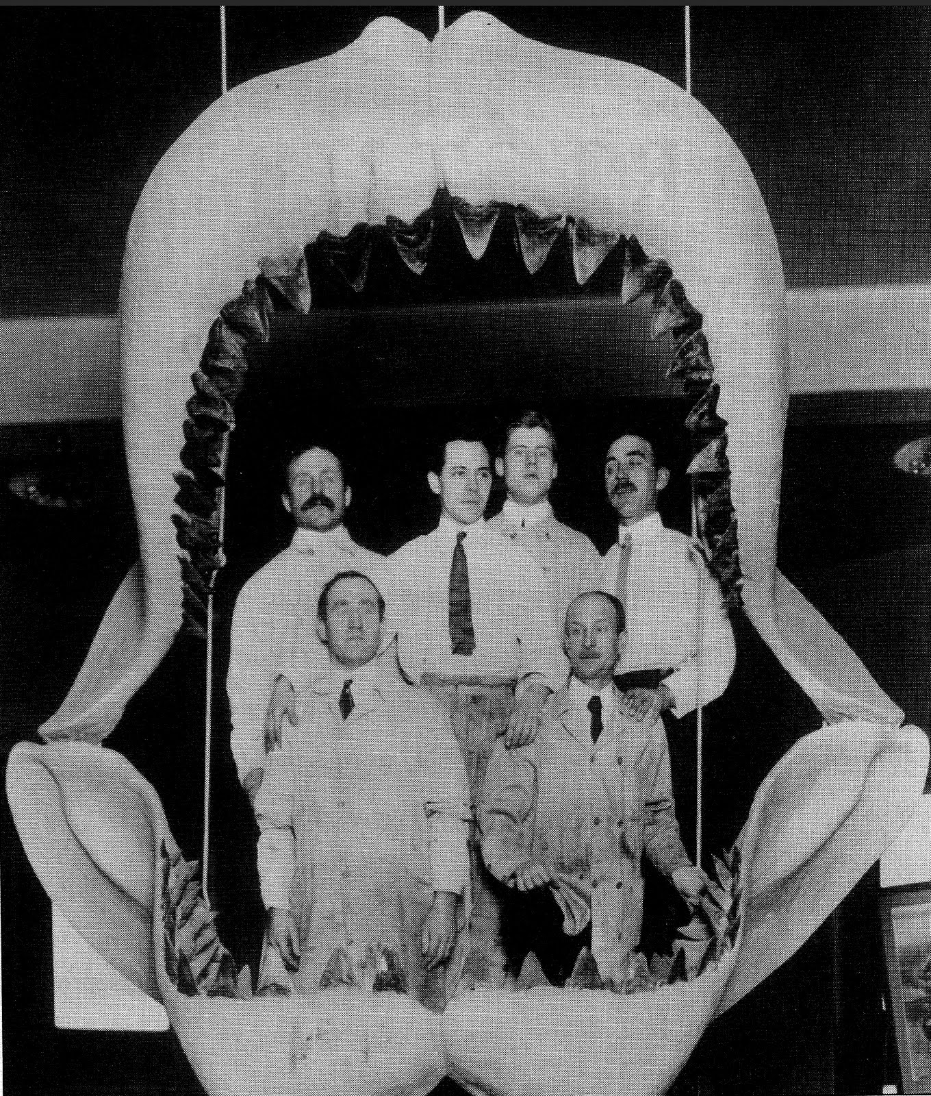 Ancestors Of Sharks