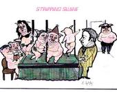 [stripping+swine+gc.jpg]