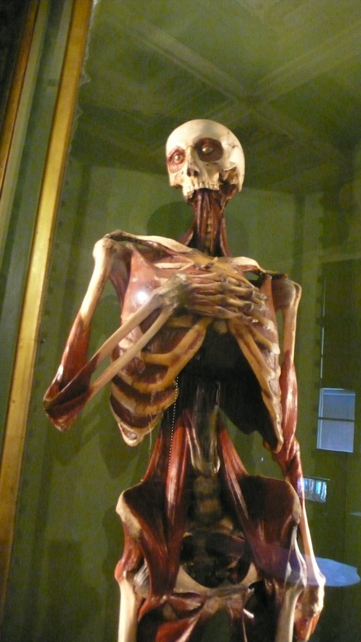 [Bol+museum+10.JPG]