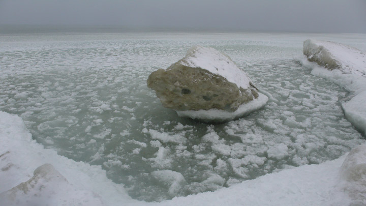 [P1000651.JPG]