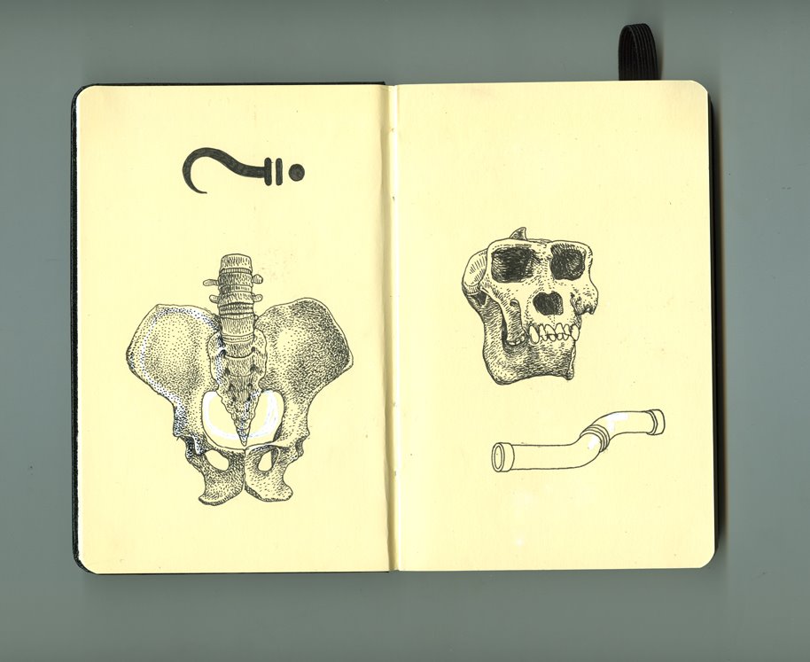 [RBv01(bones).jpg]
