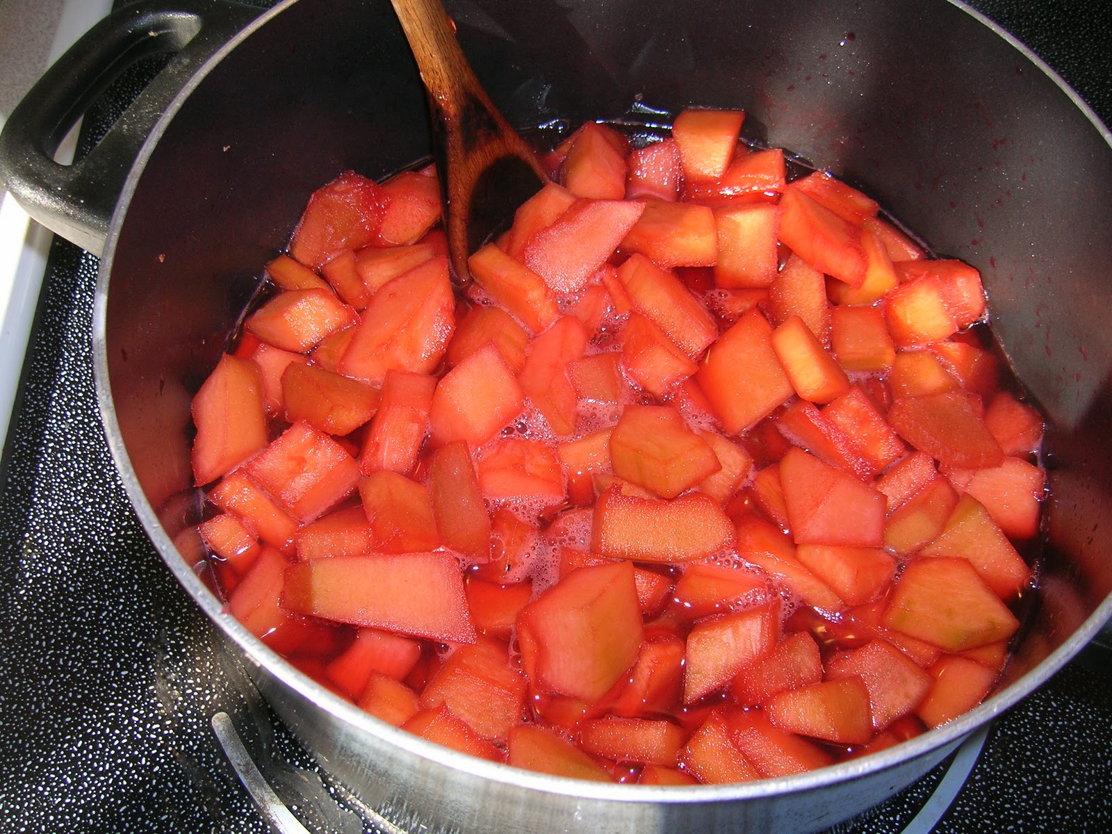 My Mountain Garden Gleanings Zucchini Candy