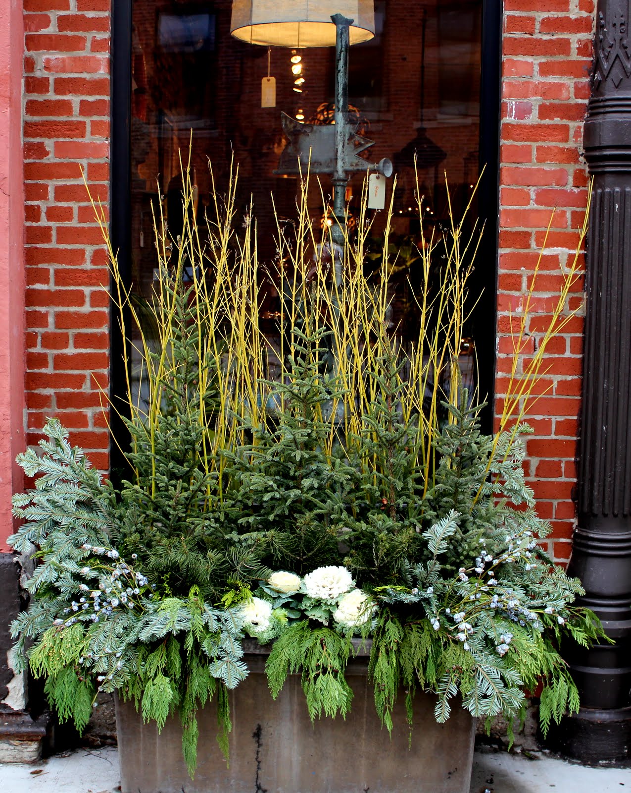 5th and state Winter Containers......Ideas for DIY