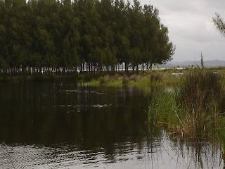 NESSE LAGO PEGAMOS MUITO PEIXE