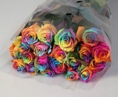EL orgullo gay (LGBT) Multiflorafernandopolis,+rosa+arco-iris