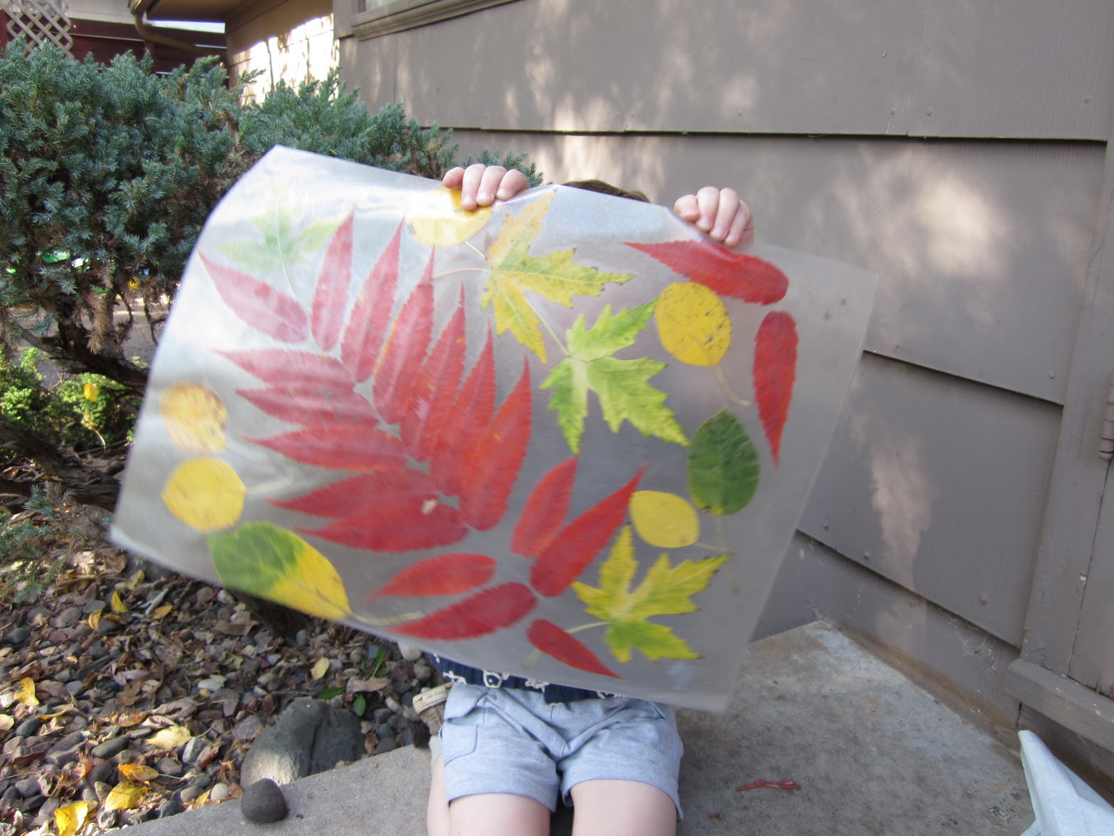 ID Mommy ID Mommy Project Make a Fall Leaf Placemat!